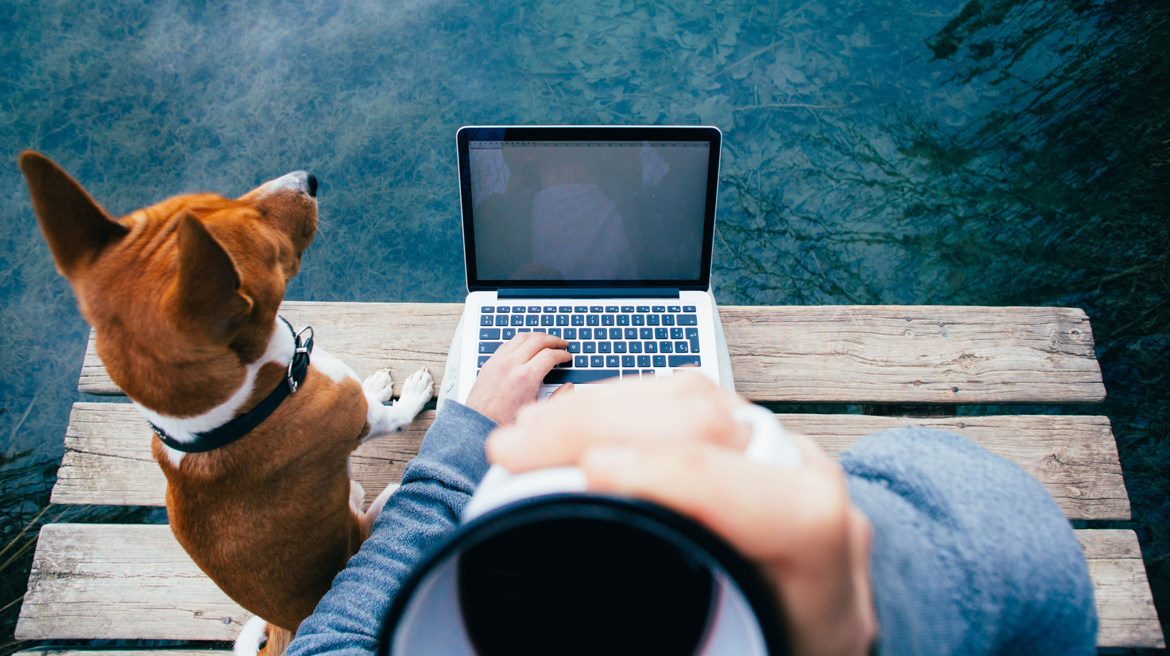 POV di una persona seduta sul molo di un lago, con l'acqua davanti a sé, il computer portatile sulle ginocchia, la tazza di caffè sollevata verso la bocca e un cane marrone rossiccio seduto accanto a lei.